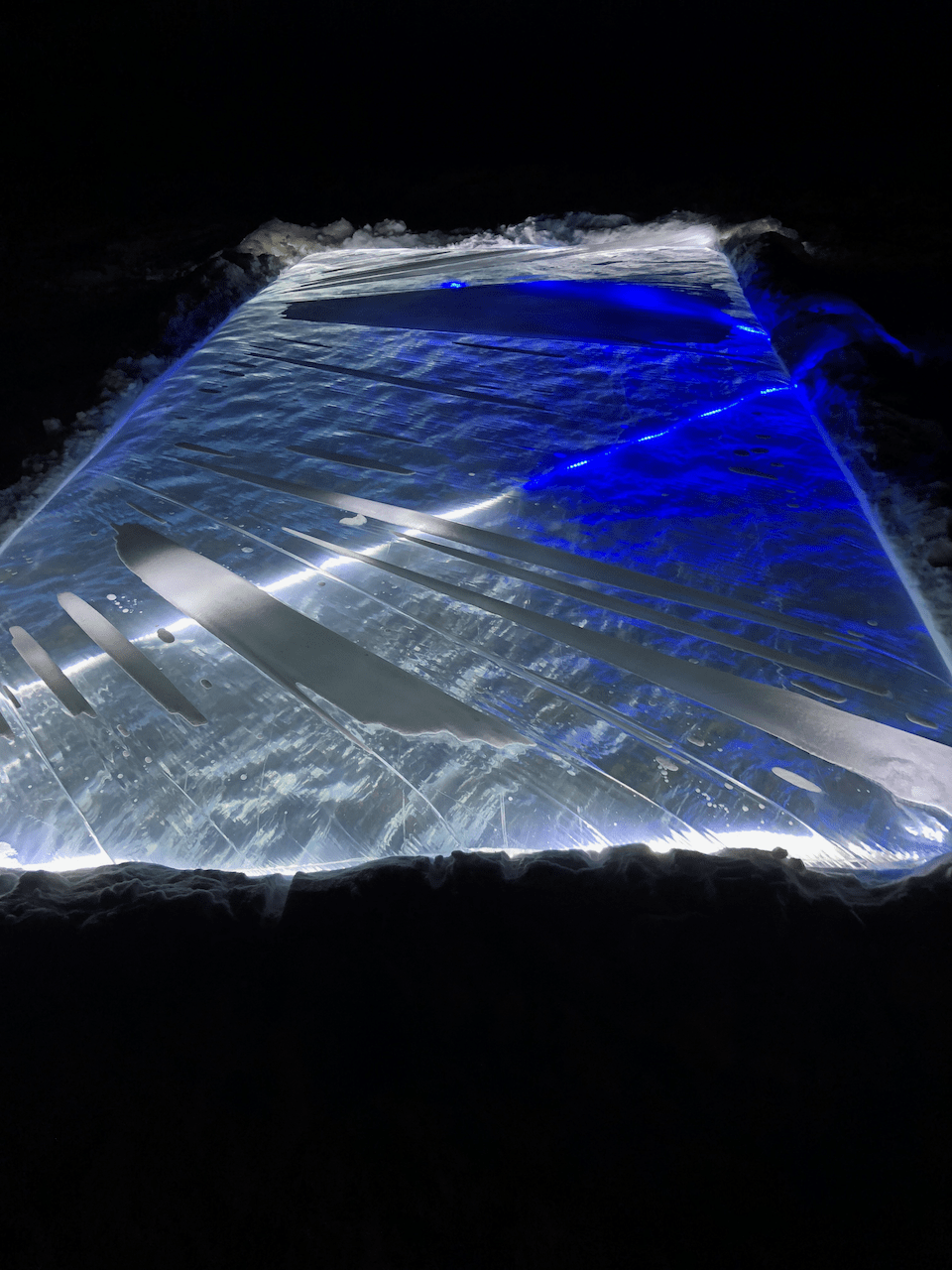 backyard ice rink lights